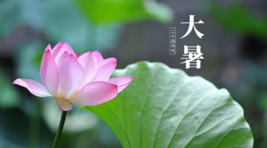 大暑時節！金環電器提醒大家注意這些干衣細節