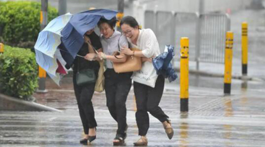 家有衣物烘干機，無懼臺風天吹走和淋濕衣物！