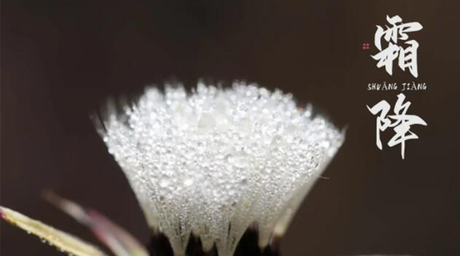 霜降時節！金環電器提醒大家要注意的事項