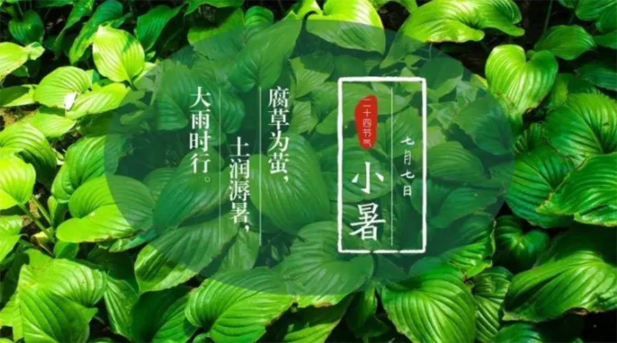 小暑時(shí)節(jié)來到！金環(huán)電器提醒大家要注意的事項(xiàng)